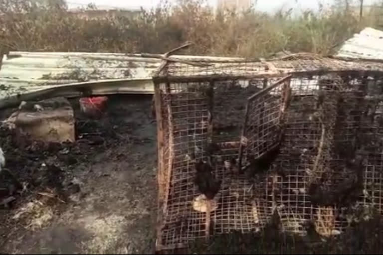 cock shop caught fire at night