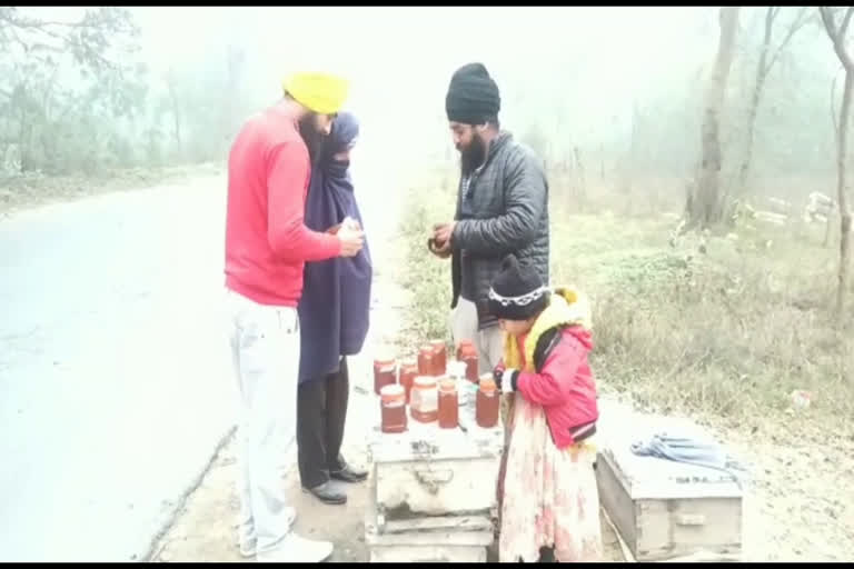 ਸ਼ਹਿਦ ਵੇਚ ਰਹੇ ਪਿਉ ਨਾਲ ਧੀ ਵੀ ਸਿੱਖ ਰਹੀ ਮਿਹਨਤ ਦਾ ਹੁਨਰ