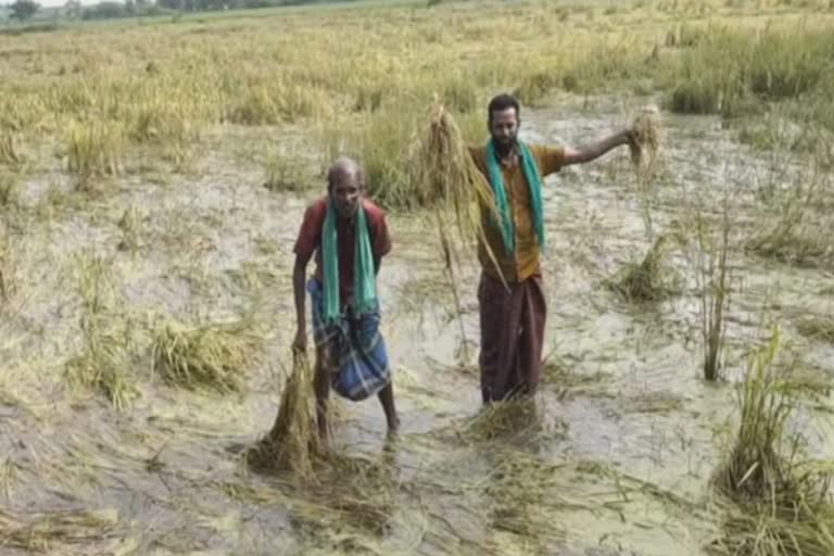 விவசாய நிவாரணத்தில் முறைகேடு: கிராம மக்கள் புகார்