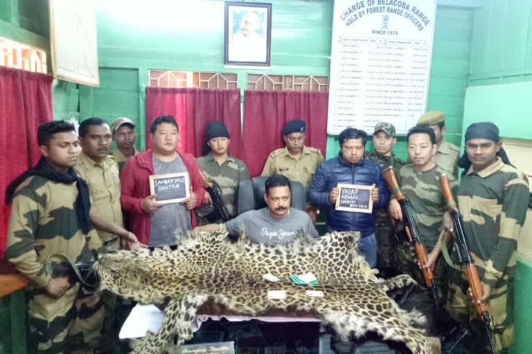 North Bengal becoming hotbed of wildlife smuggling