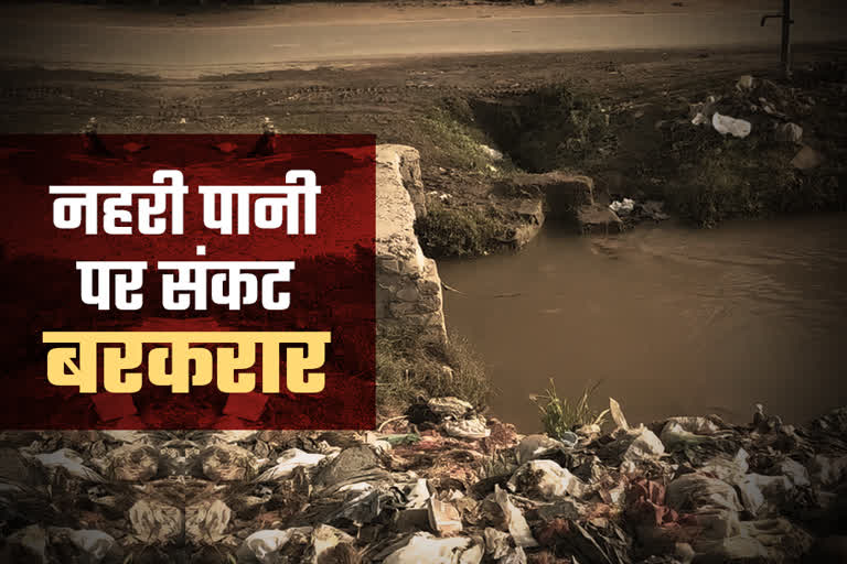 Shri Ganga Nagar news  Gangahars getting polluted  प्रदूषित होती गंगनहर  श्रीगंगानगर न्यूज  Problem with polluted water  Polluted water in Sriganganagar  प्रदूषित पानी से समस्या  श्रीगंगानगर में प्रदूषित पानी  ग्रीन ट्रिब्यूनल  National Green Tribunal Act  राष्ट्रीय हरित अधिकरण