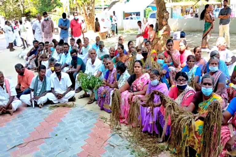 ராமநாதபுரம் மாவட்டத்தில்  அழுகிய பயிர்களுடன் ஆட்சியரிடம் வந்த விவசாயிகள்