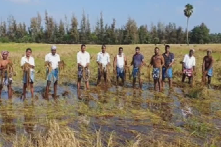 விவசாயிகள் வயலில் இறங்கி போராட்டம்