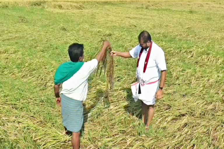 பயிர் பாதிப்பு விவகாரத்தில் அரசியல் வேண்டாம்