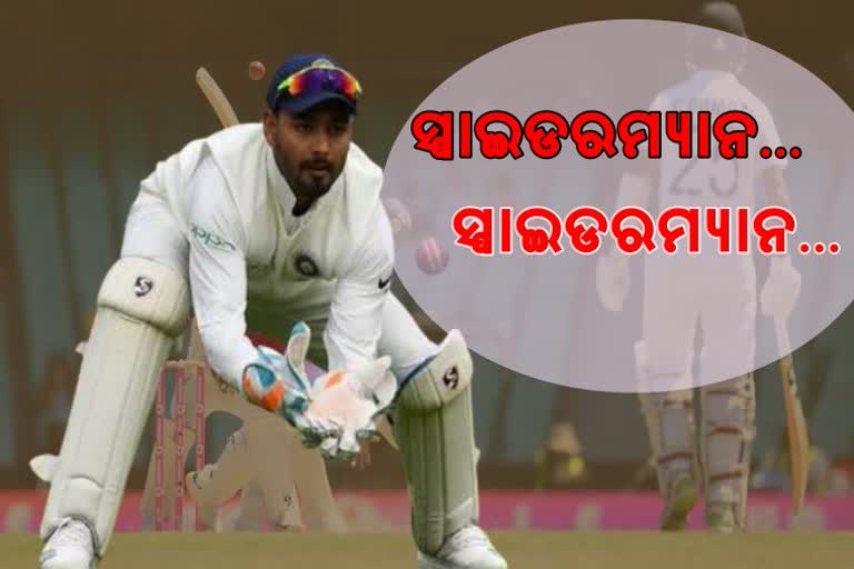 rishbh pants spiderman song behind the wickets goes viral