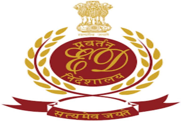 ED attaches assets worth Rs 1.44 cr in red sanders smuggling case