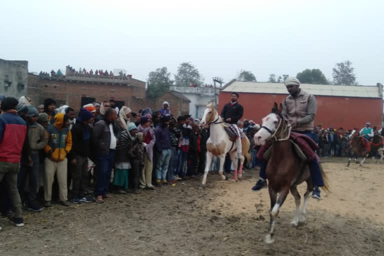 महाराणा प्रताप घोड़ा दौड़ प्रतियोगिता