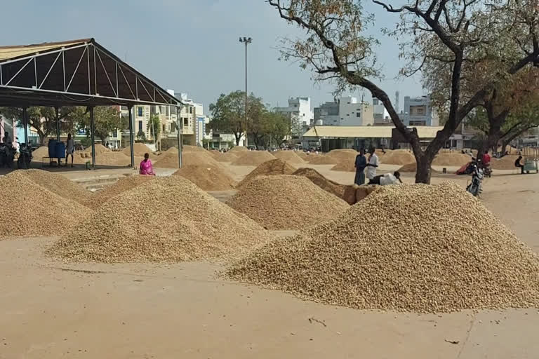 record-price-for-peanuts-in-wanaparthy-market