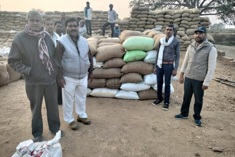 illegal paddy seized from registered farmer in kawardha