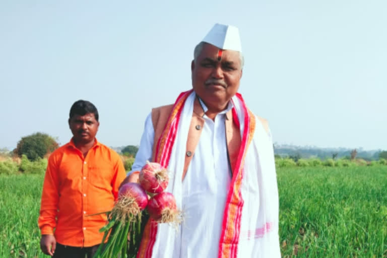 अबब... सात एकरात शंभर टन कांद्याचे उत्पादन!