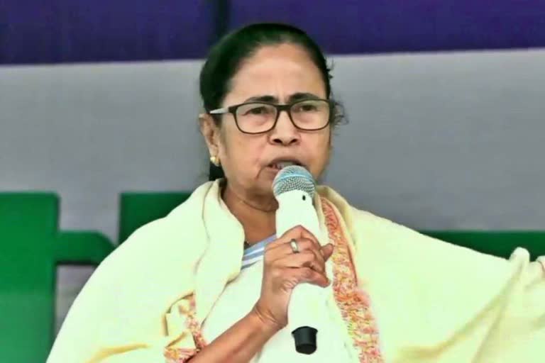 mamta