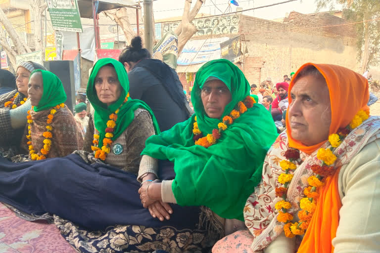 tikri border farmers protest