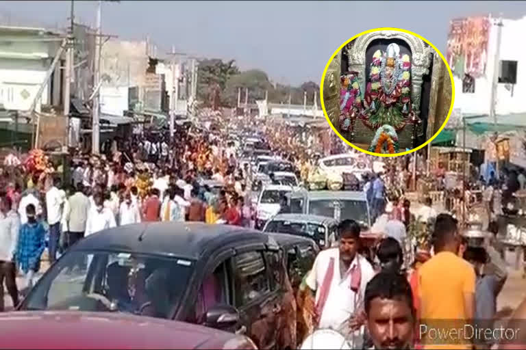 kondapochamma jathara celebrations at narsapur in siddipet district