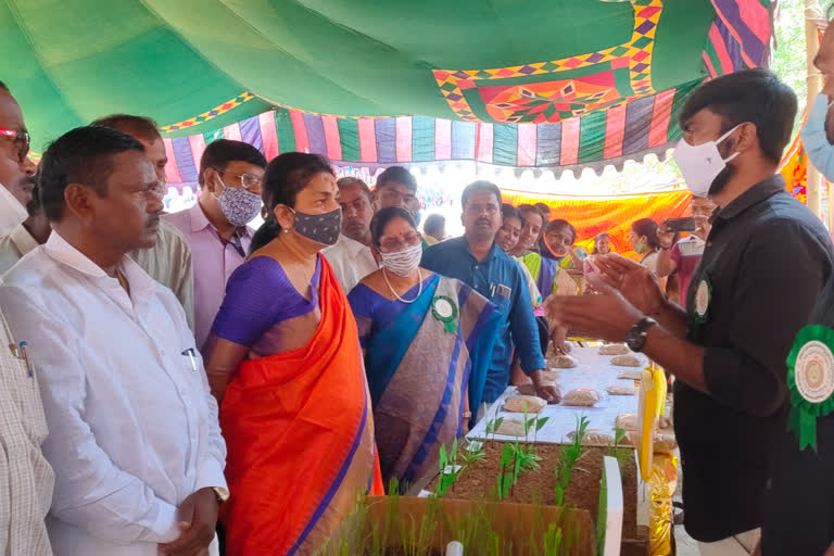 mla gongadi sunitha gongadi sunita wanted farmers need to grow to a level that sets the price for the crop