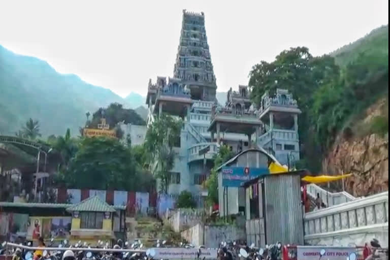 கோயம்புத்தூர் மாவட்ட செய்திகள் மருதமலை கோவிலில் திருக்கல்யாணம் மருதமலை Marudhamalai Temple Tirukkalyana function Marudhamalai Temple Coimbatore district news Coimbatore latest news