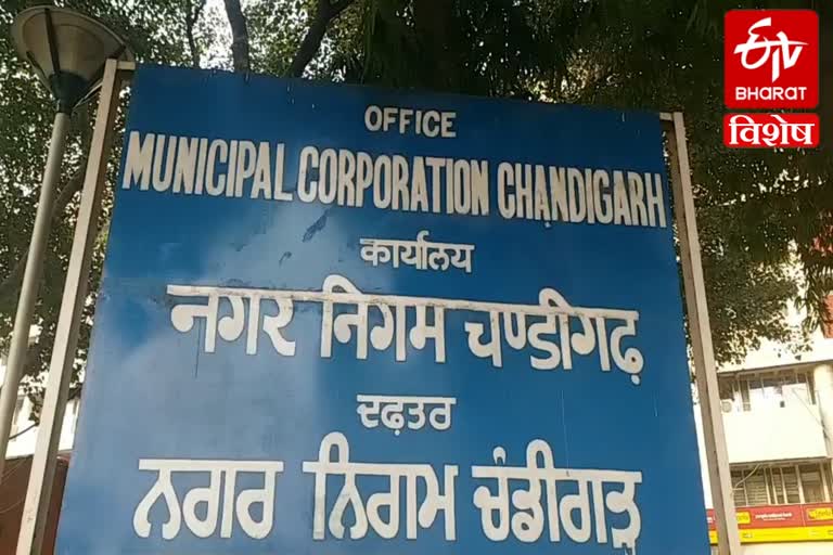 chandigarh municipal corporation working