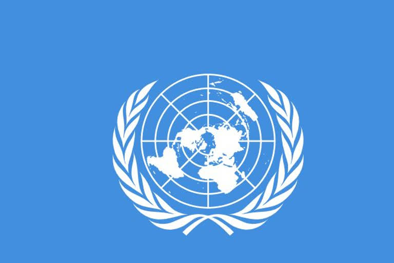 united nation