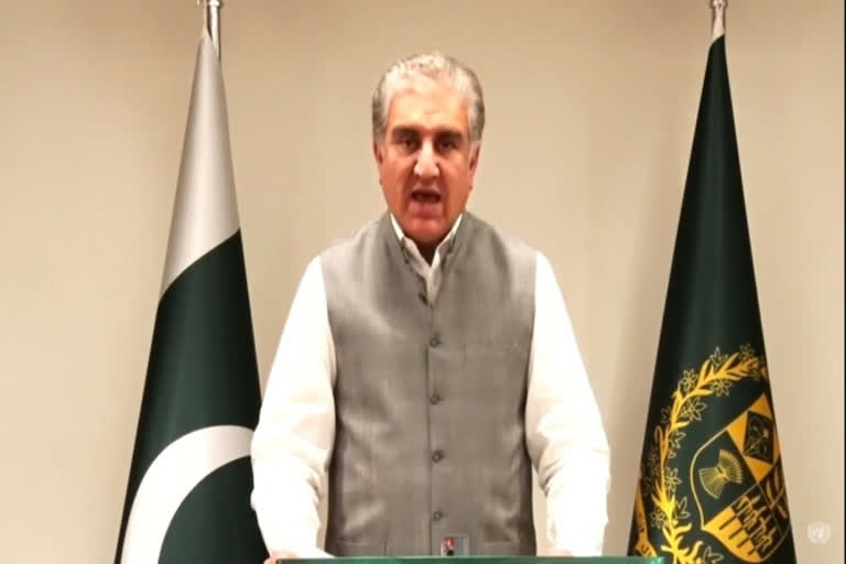 Pakistan FM Qureshi