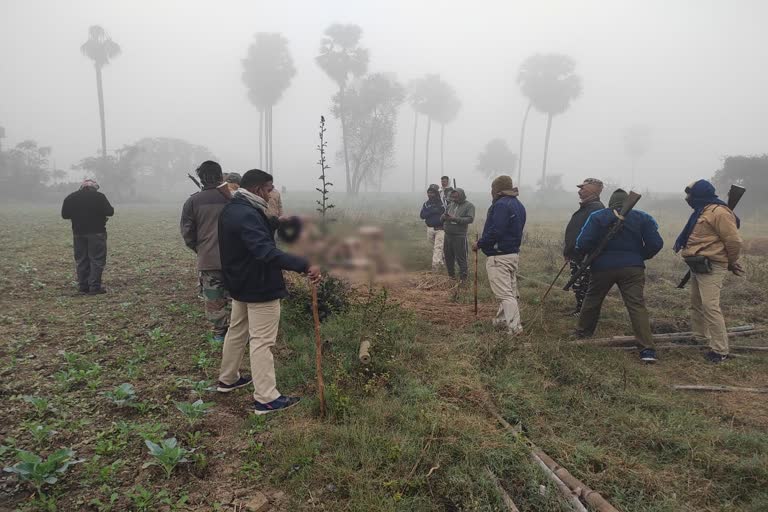 खेत से शराब की खेप बरामद