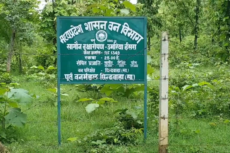 Madhya Pradesh Government Forest Department