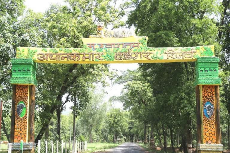 viral video of Forest guard party in Achanakmar Tiger Reserve mungeli