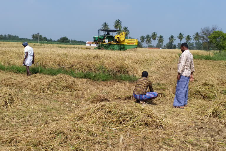 Intensified paddy harvesting intensity in Satyamangalam area