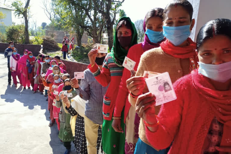 Panchayati Raj Election Mandi, पंचायती राज चुनाव मंडी