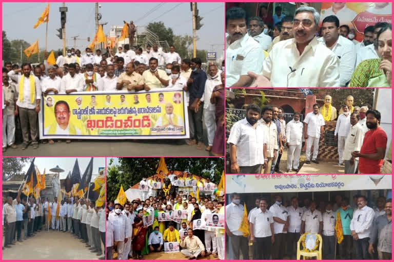 Statewide TDP protests