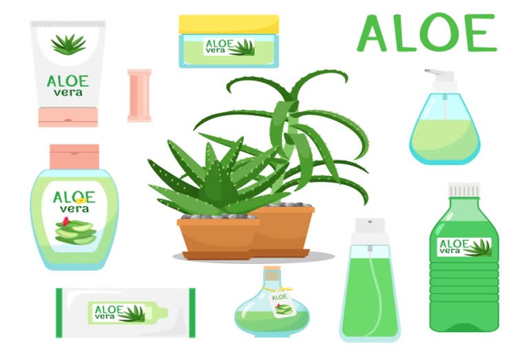 Benefits of aloe vera gel