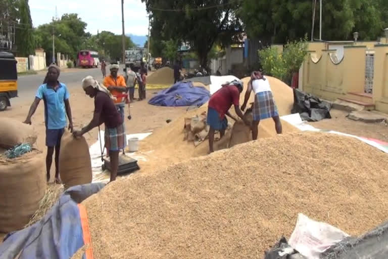 Paddy procurement increased by 23.41% during the current year said center