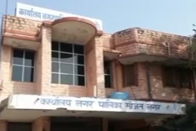 Elections in 7 municipalities of Pali, राजस्थान ब्रेकिंग न्यूज