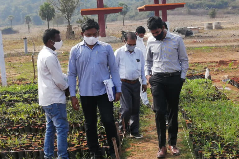 Additional collector tour in the home zone