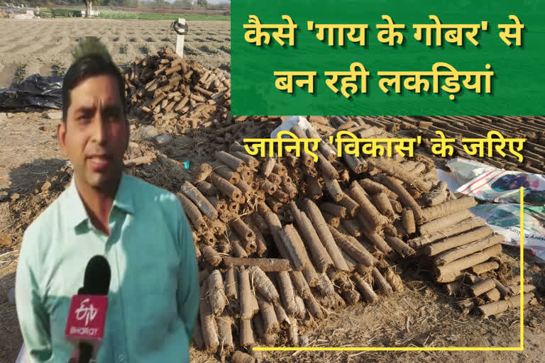 cow dung is used to make woods for hawan and last rite by vikas bhardwaj