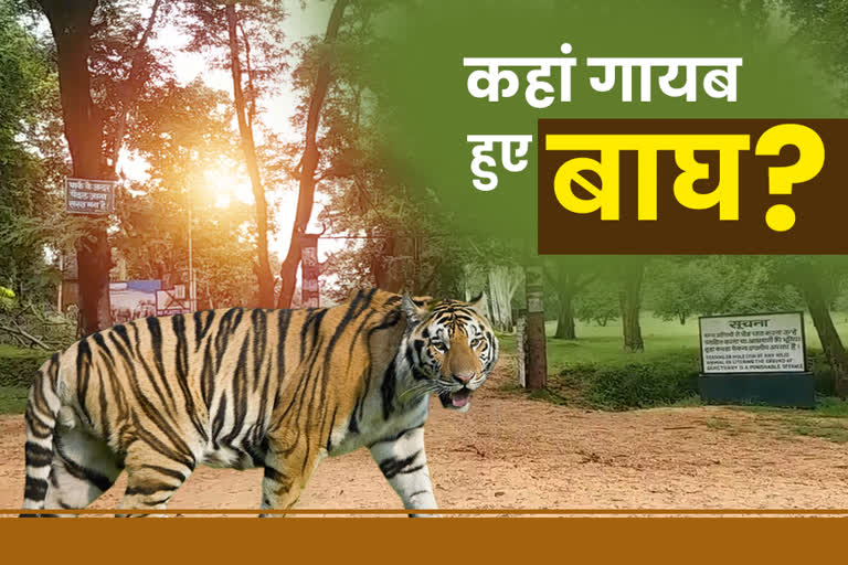 searching of tigers in palamu tiger reserve