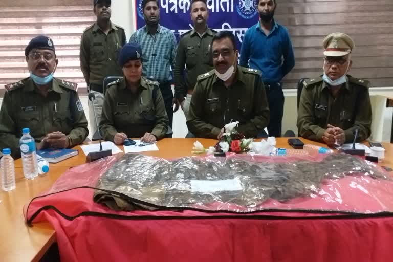 Two smugglers arreste for smuggling tiger skin in Ujjain