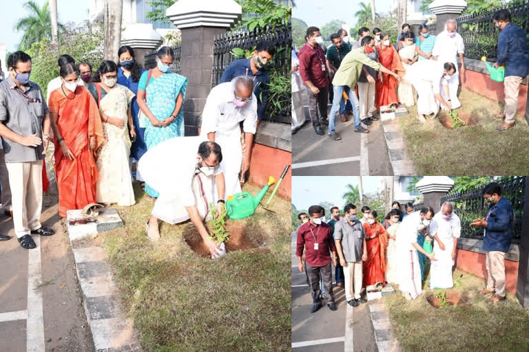 tree were planted in the assembly building in memory of the poet Sugathakumari  സുഗതകുമാരിയുടെ ഓര്‍മക്കായി നിയമസഭാ മന്ദിരത്തിൽ പവിഴമല്ലി നട്ടു  സുഗതകുമാരിയുടെ ഓര്‍മക്കായി നിയമസഭാ മന്ദിരത്തിൽ പവിഴമല്ലി  സുഗതകുമാരി മരം നടന്‍  സുഗതകുമാരി വാര്‍ത്തകള്‍  poet Sugathakumari  poet Sugathakumari news  poet Sugathakumari death news