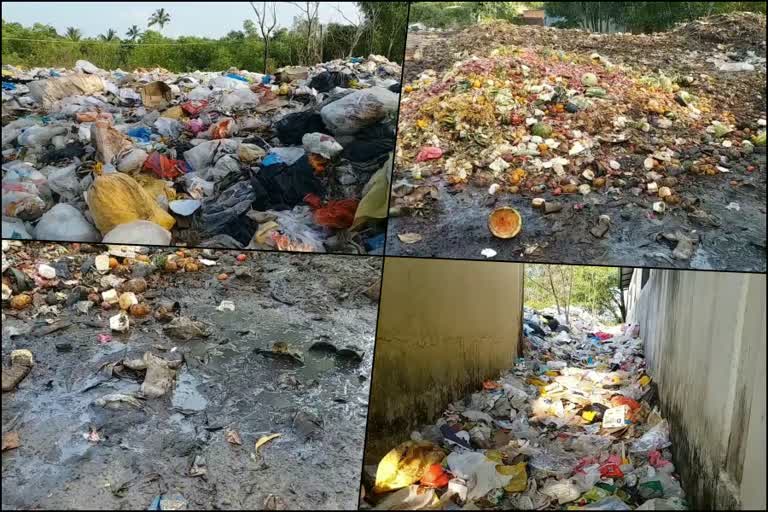 Kubanur village in Kasargode  Kubanur village  kasargode waste  കുബനൂര്‍ ഗ്രാമം  കാസർകോട്ടെ കുബനൂര്‍  മാലിന്യ സംഭരണ കേന്ദ്രം