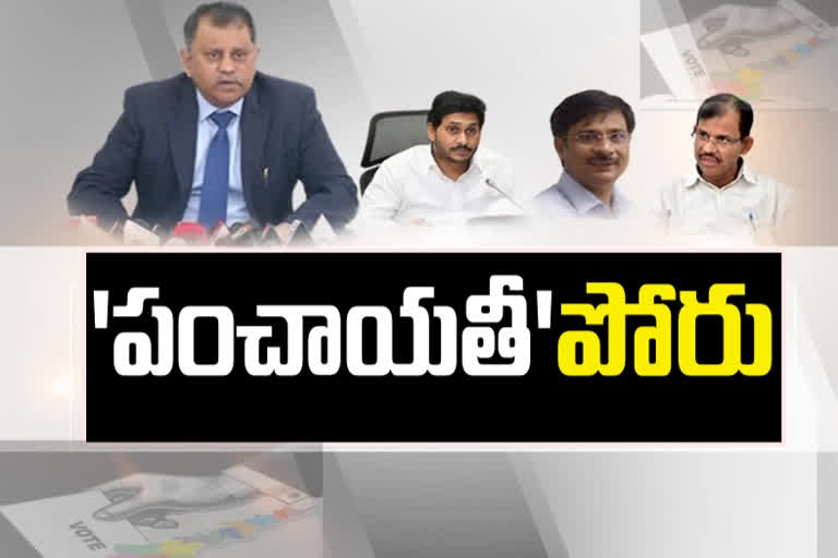 ap local elections 2020