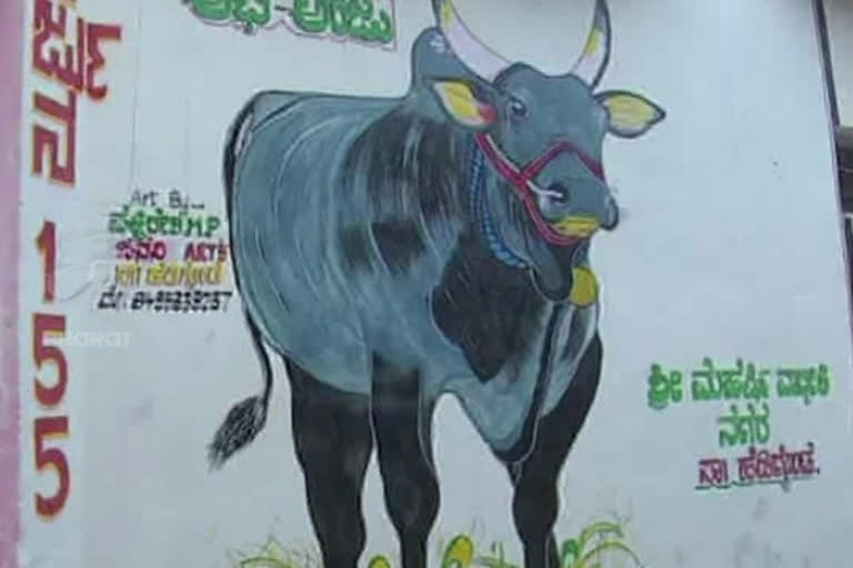 ox that lured people of karnataka with its grace in fighting-fans associations formed in karnataka for arjuna