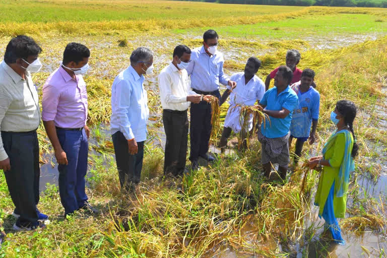 89 thousand hectares of land in Ramanathapuram affected by heavy rains!