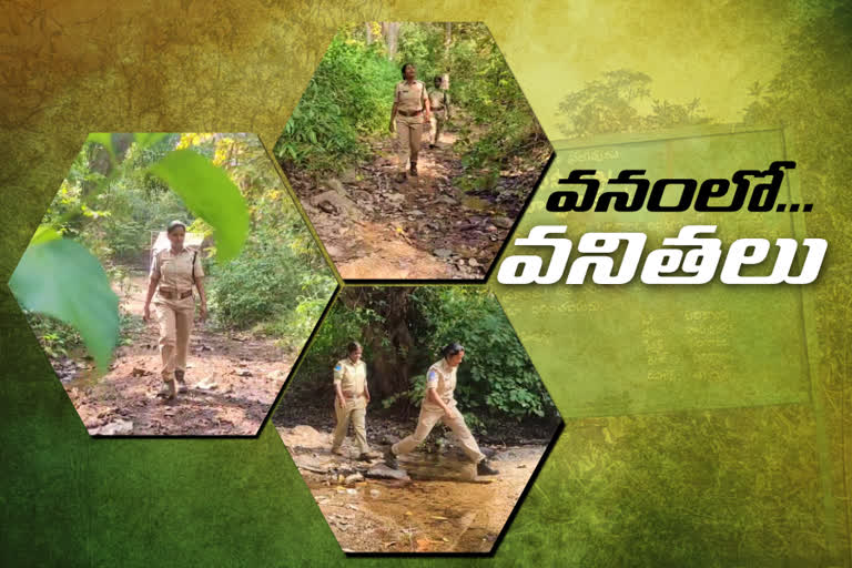 women officers nizamabad forest department