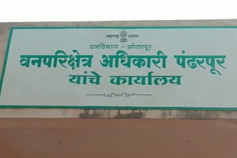 छायाचित्र