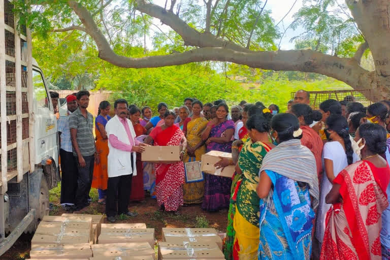 Poultry chicks for farmers on behalf of the Department of Animal Husbandry!