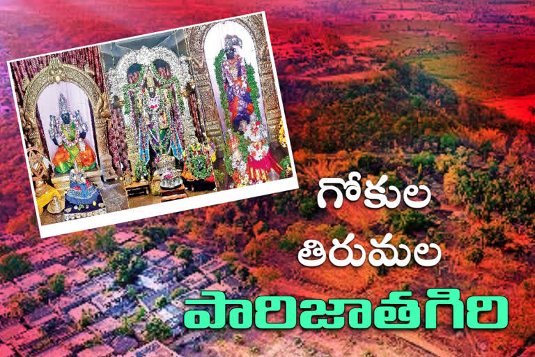 Gokula Tirumala Parijatha Giri Temple