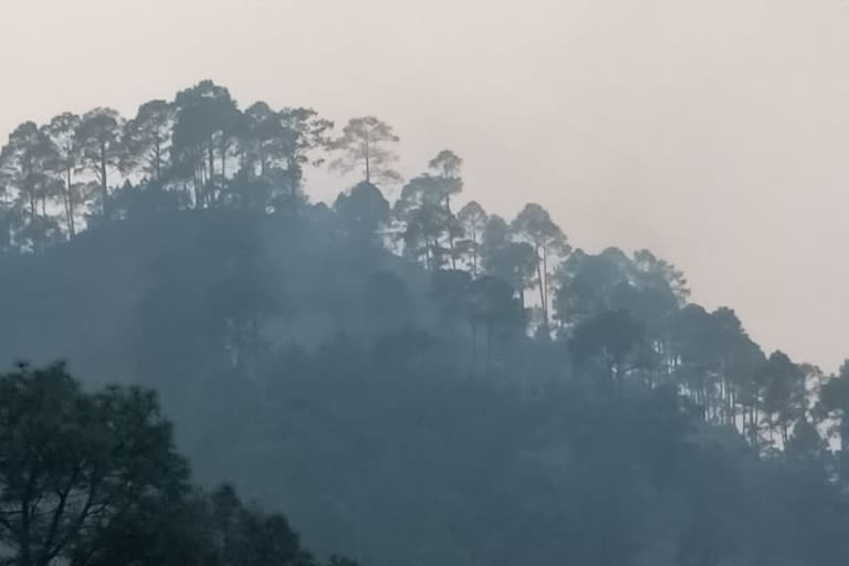 रुद्रप्रयाग