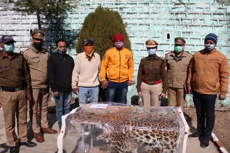 Tehri Guldar Skins Recovered