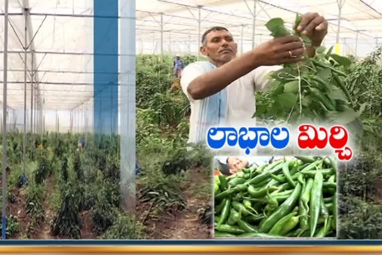 high income with small investment in organic farming