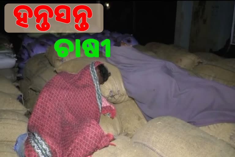 କଳାହାଣ୍ଡିରେ ଧାନ ବିକ୍ରିକୁ ନେଇ ଚିନ୍ତାରେ ଚାଷୀ