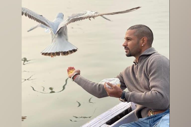 Dhawan feeds birds amid bird flu, Varanasi DM says action to be taken against boatman