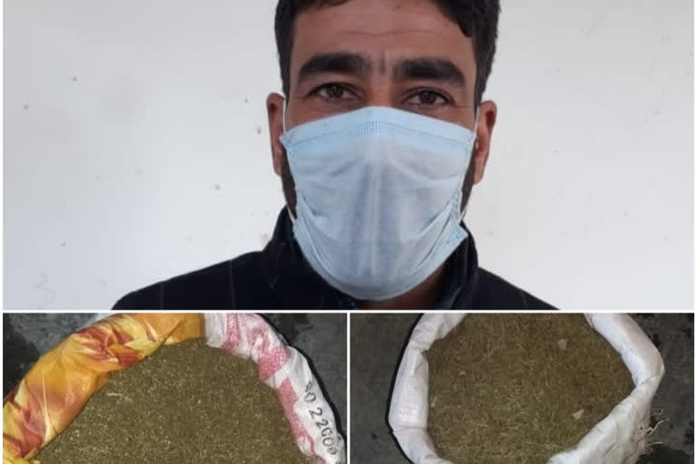 handwara police arrested one notorious drug peddler